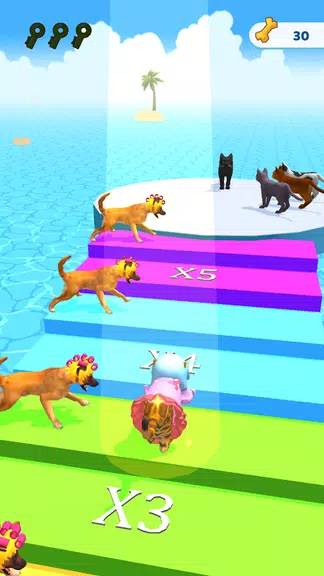 Cats run 3D Screenshot4