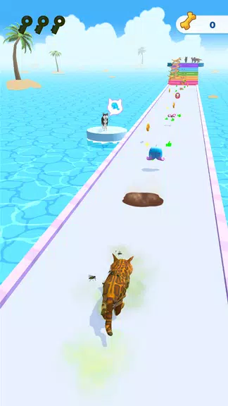 Cats run 3D Screenshot1