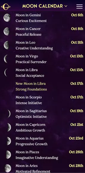 AstroMatrix Birth Horoscopes Screenshot2