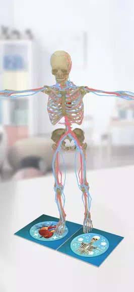 Anatomia Super Screenshot1