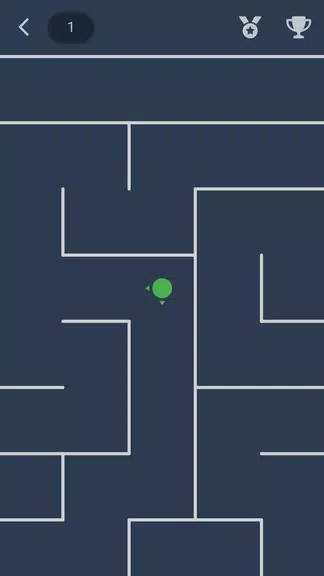 Maze Screenshot4