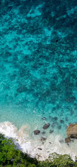 JustMiro Screenshot1