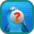 Tebak-tebakan Gambar Hewan APK