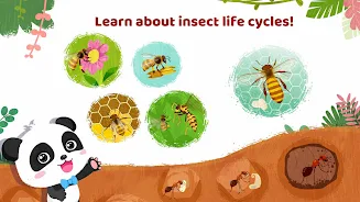 Little Panda's Insect World Screenshot4