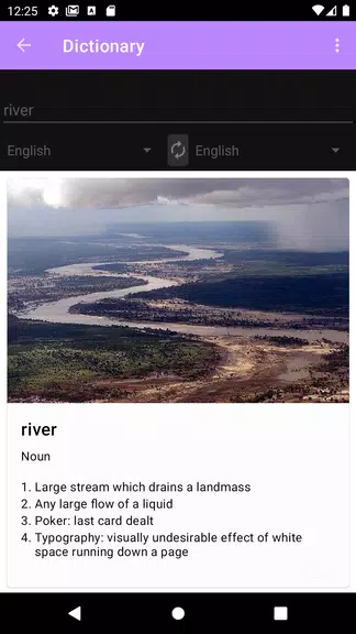 Dictionary Screenshot4