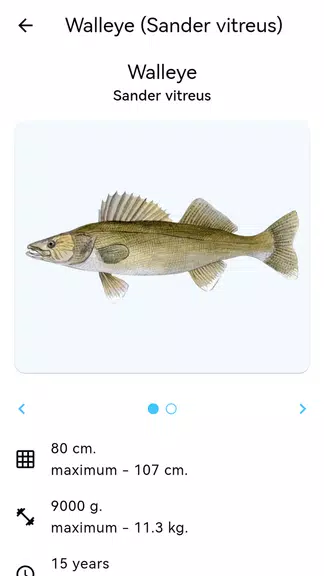 Fish Planet Screenshot4