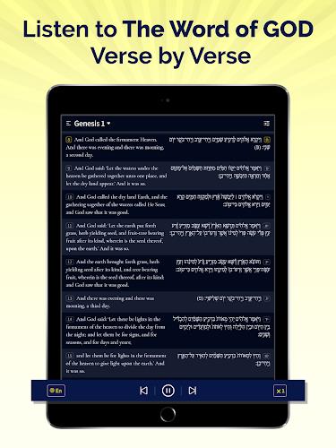Hebrew Bible Study Translation Screenshot14