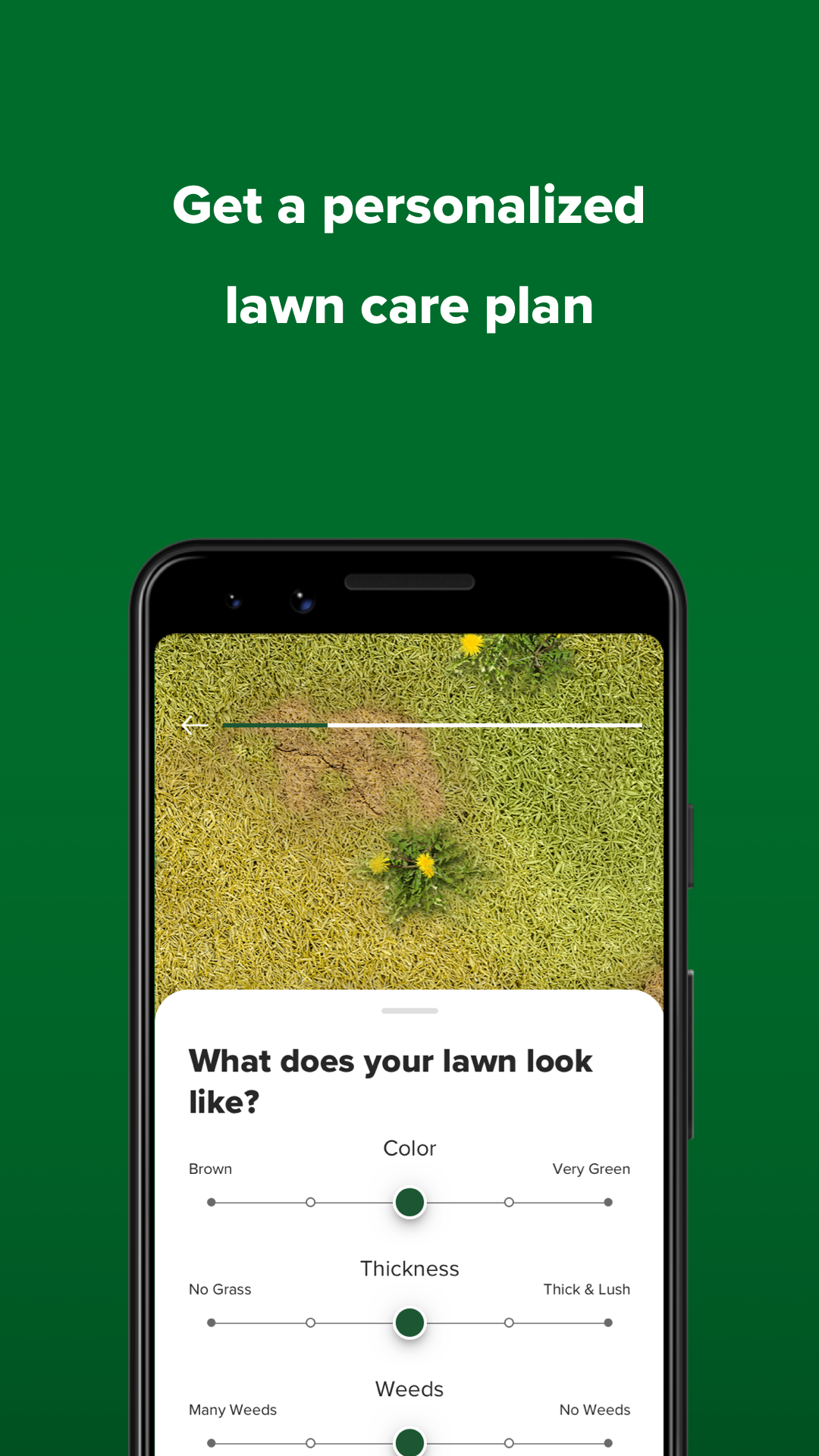 My Lawn Screenshot2