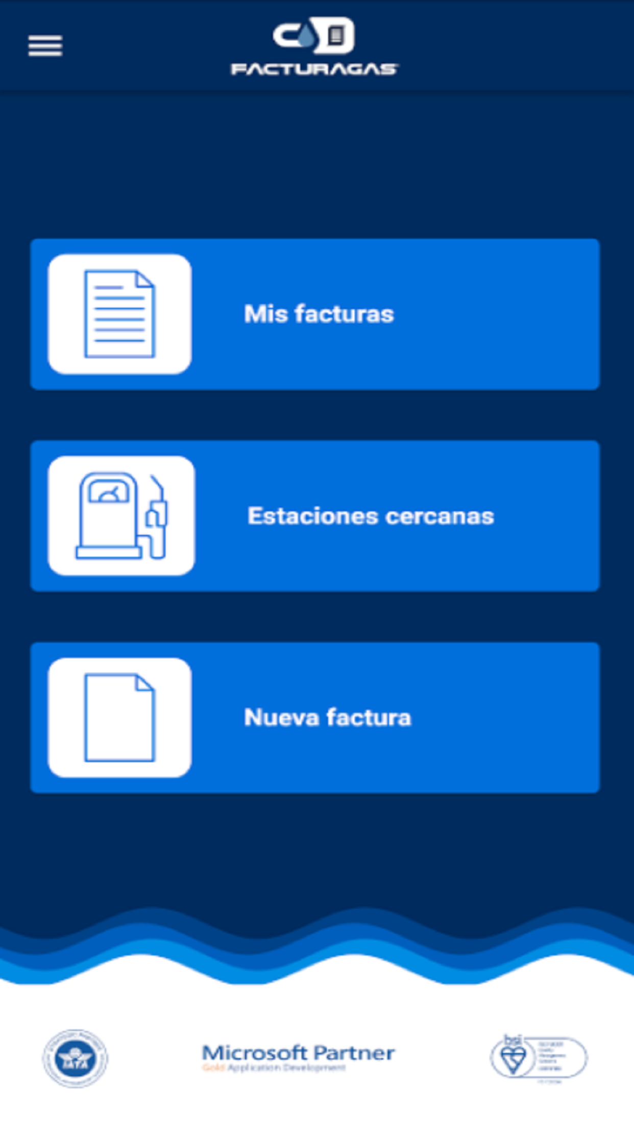 FacturaGAS Screenshot3