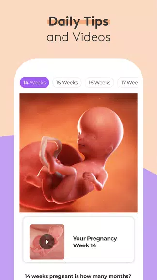 Pregnancy Tracker & Baby App Screenshot2