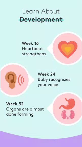 Pregnancy Tracker & Baby App Screenshot3