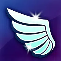 Fancy Flyer APK