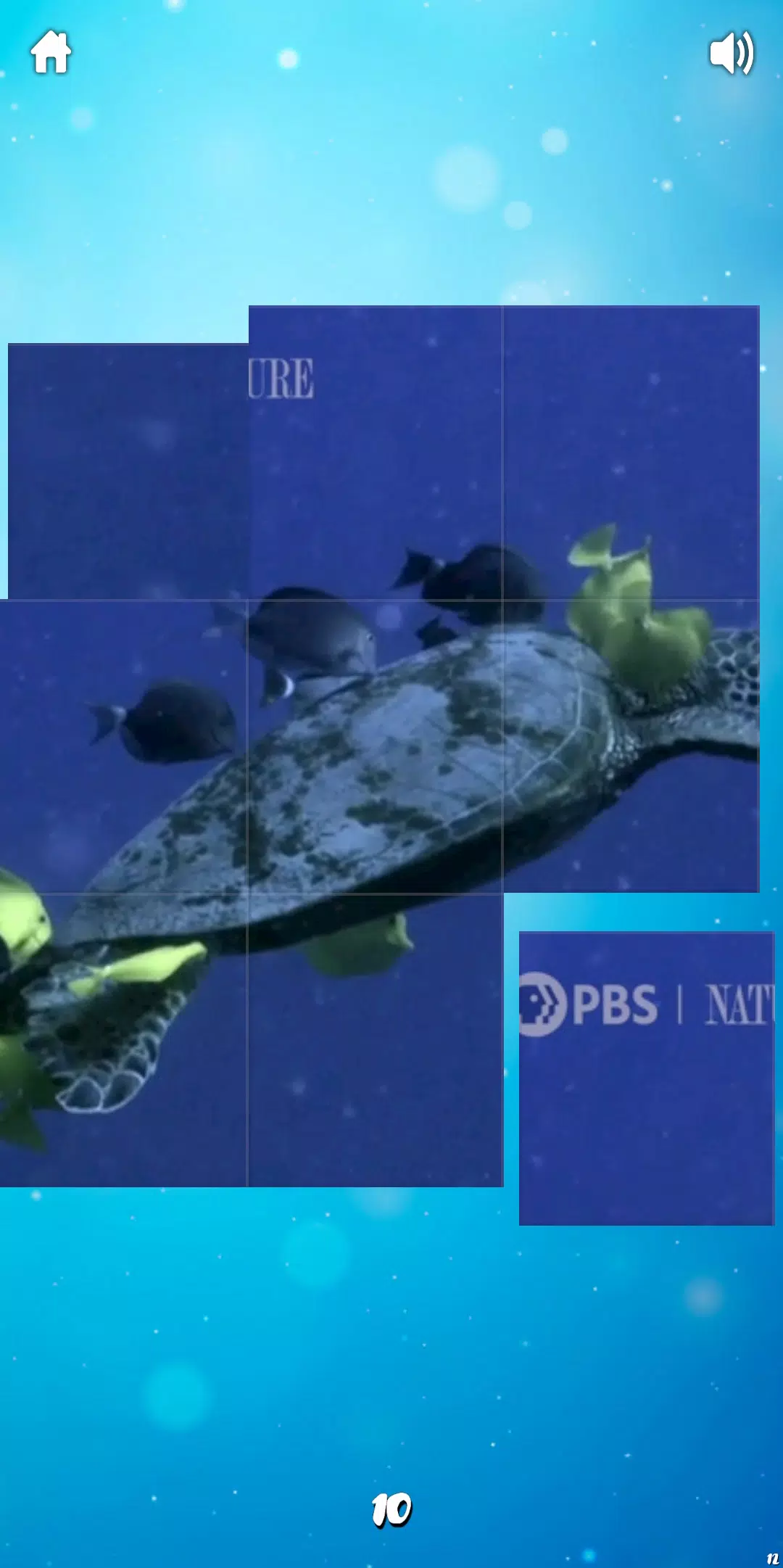 Video jigsaw puzzle Screenshot5