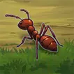 Ant Smash Master APK
