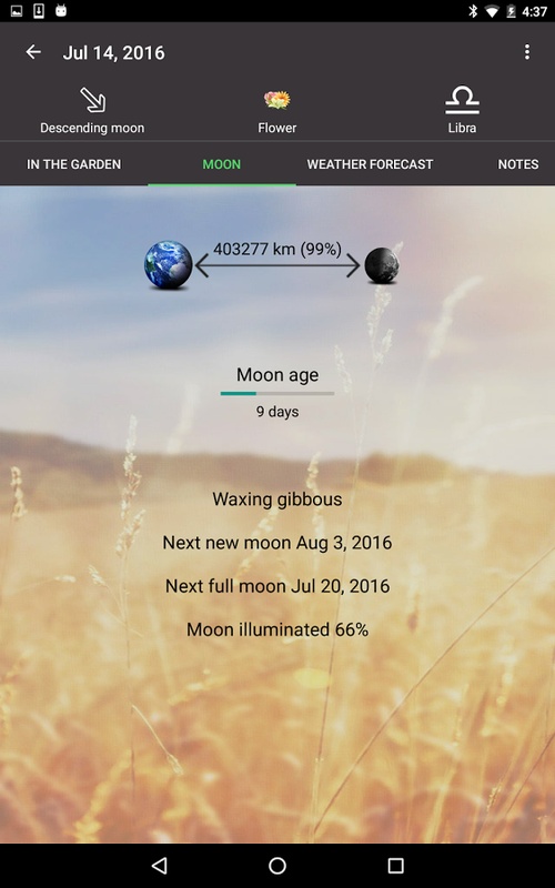 Moon & Garden Screenshot2