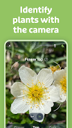 Flora Incognita Screenshot2