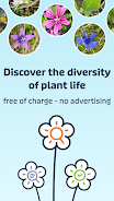 Flora Incognita Screenshot1