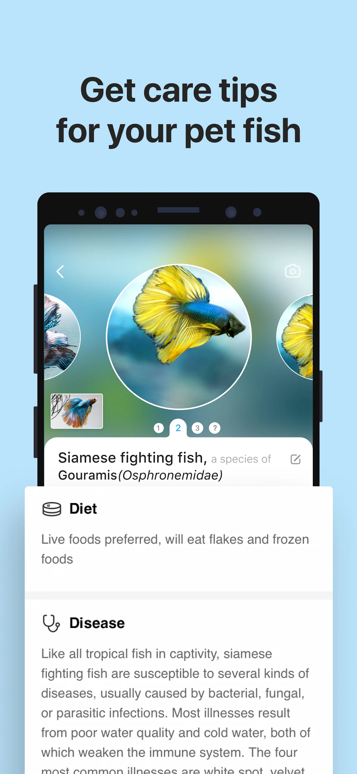 Picture Fish Screenshot4