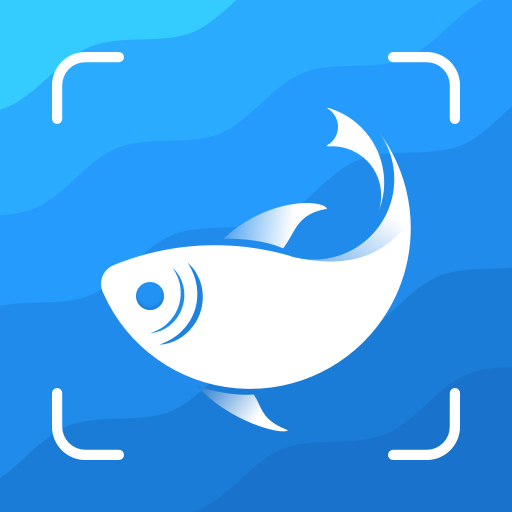 Picture Fish APK
