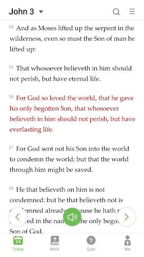 King James Bible Screenshot3