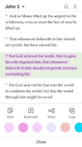King James Bible Screenshot8