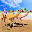 Markad Racing 2024 APK