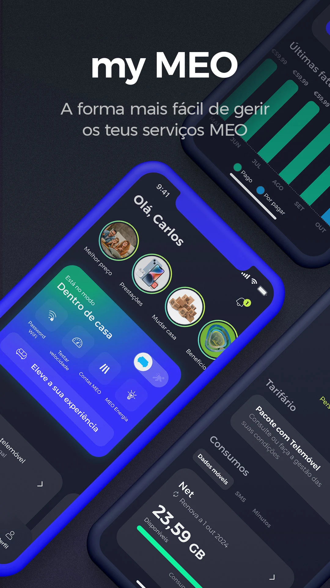 my MEO Screenshot1