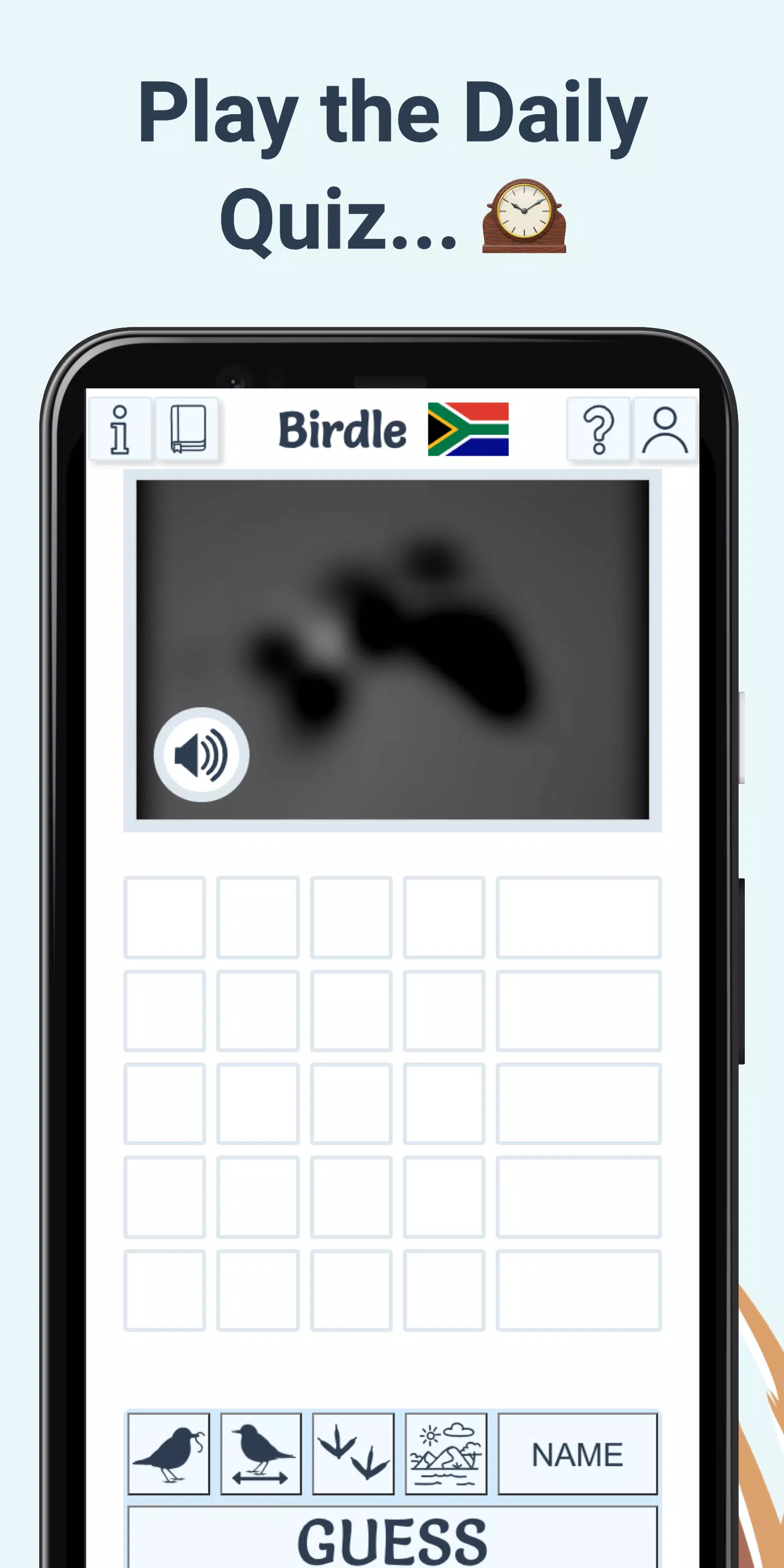 Birdle Screenshot2