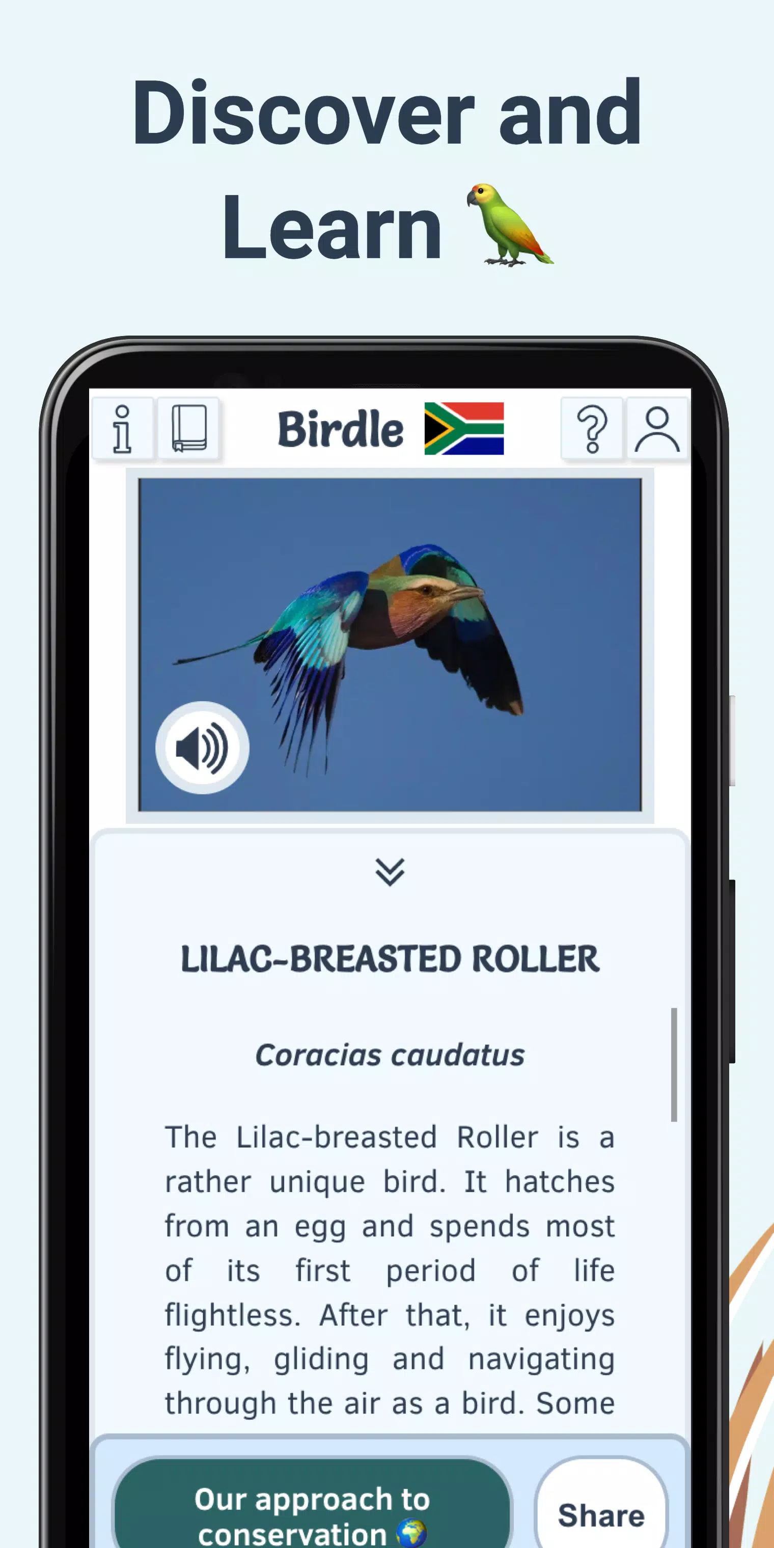 Birdle Screenshot6