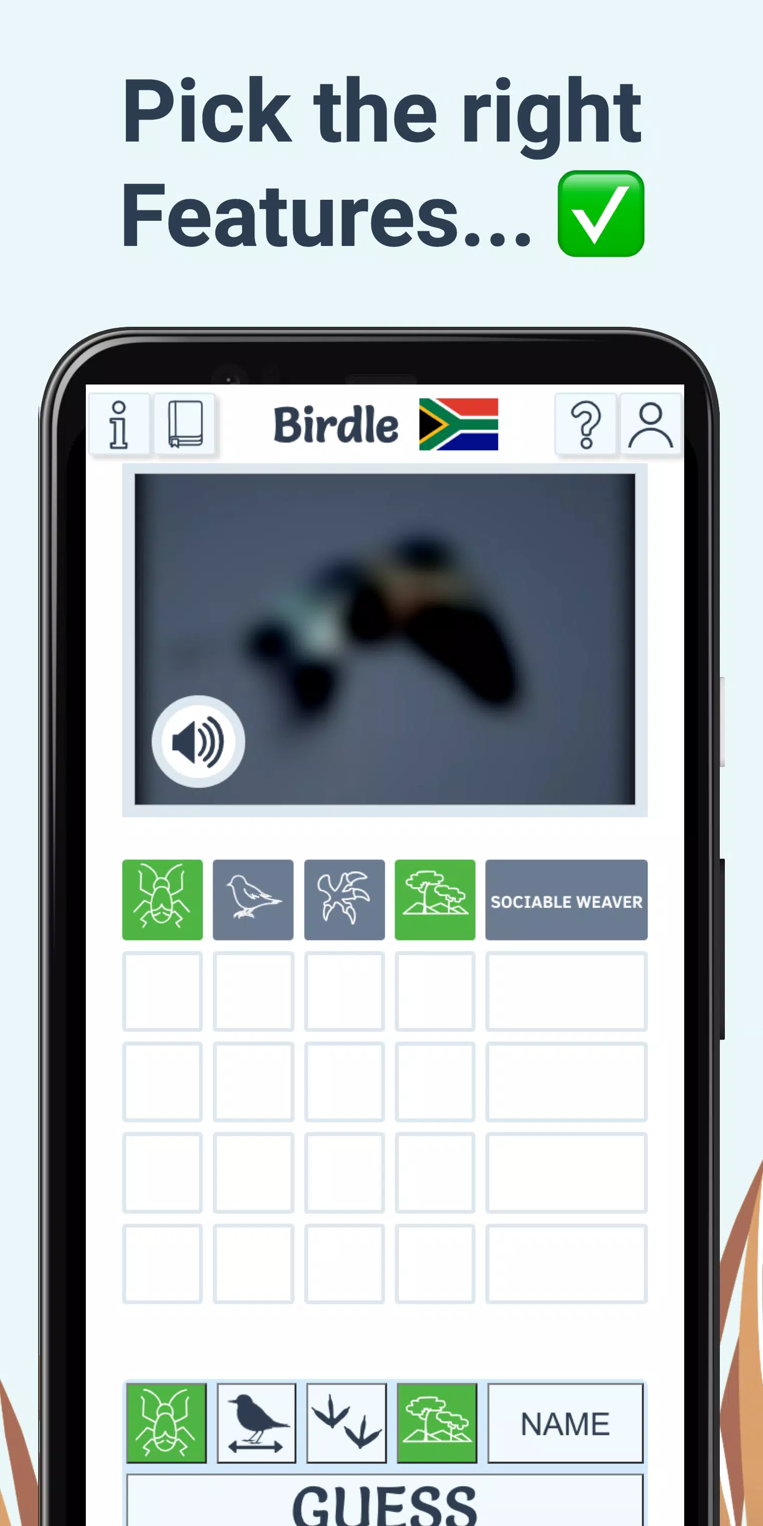 Birdle Screenshot4