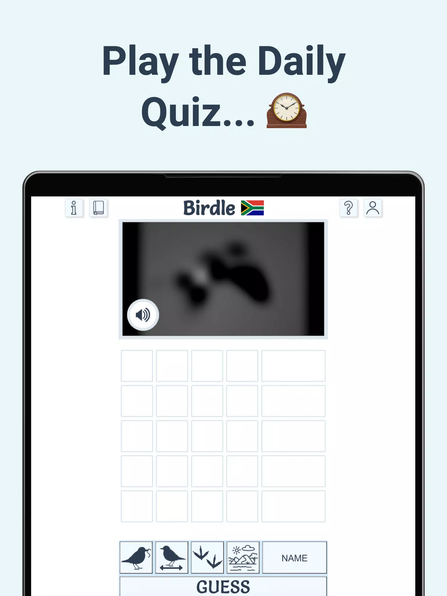 Birdle Screenshot8