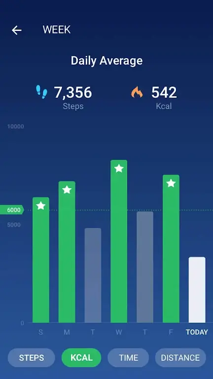 Pedometer Screenshot3