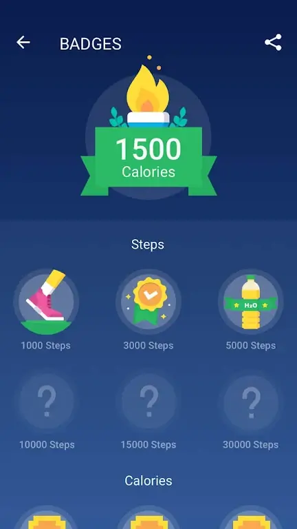 Pedometer Screenshot4