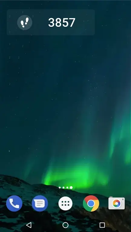Pedometer Screenshot1