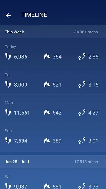 Pedometer Screenshot2