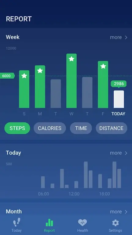 Pedometer Screenshot6