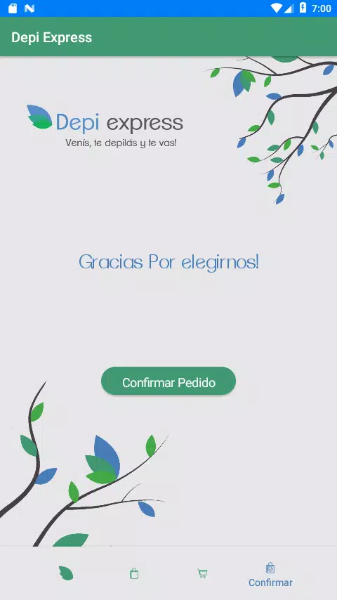 Depi Express Screenshot8