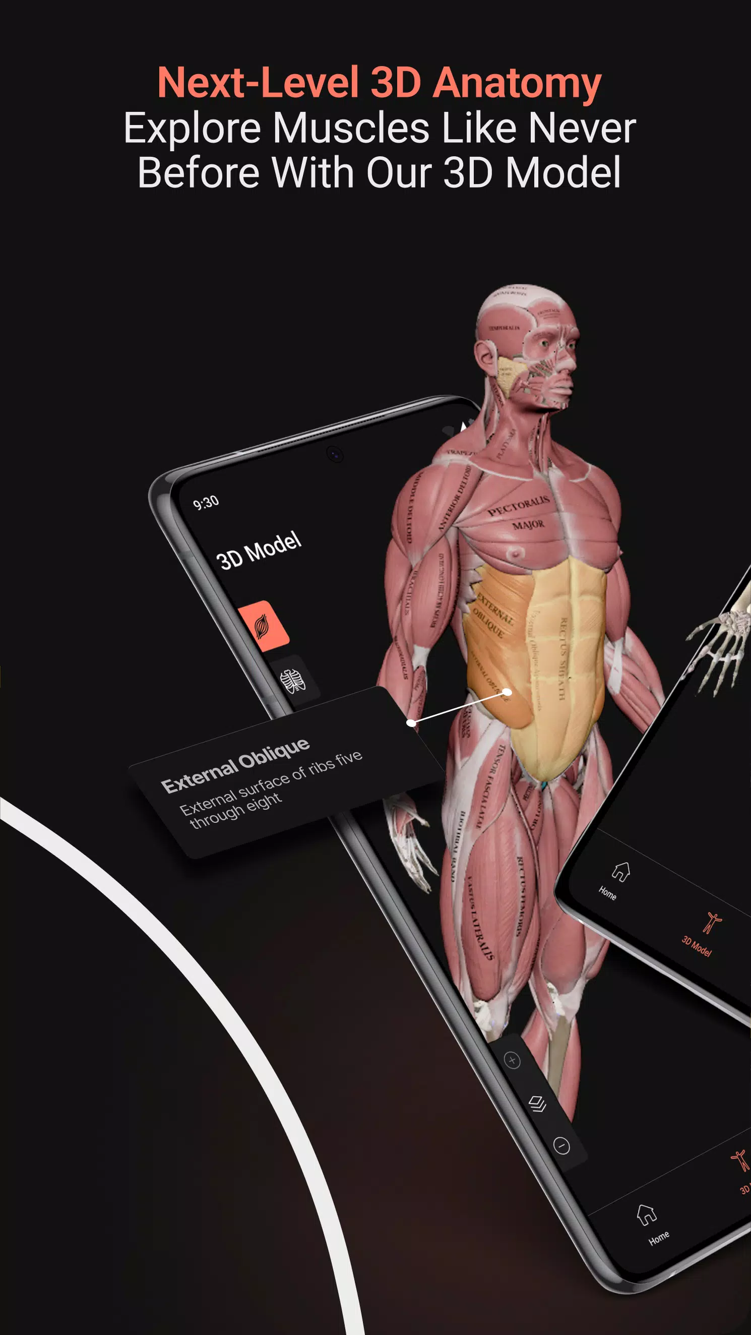 Anatomy Screenshot2