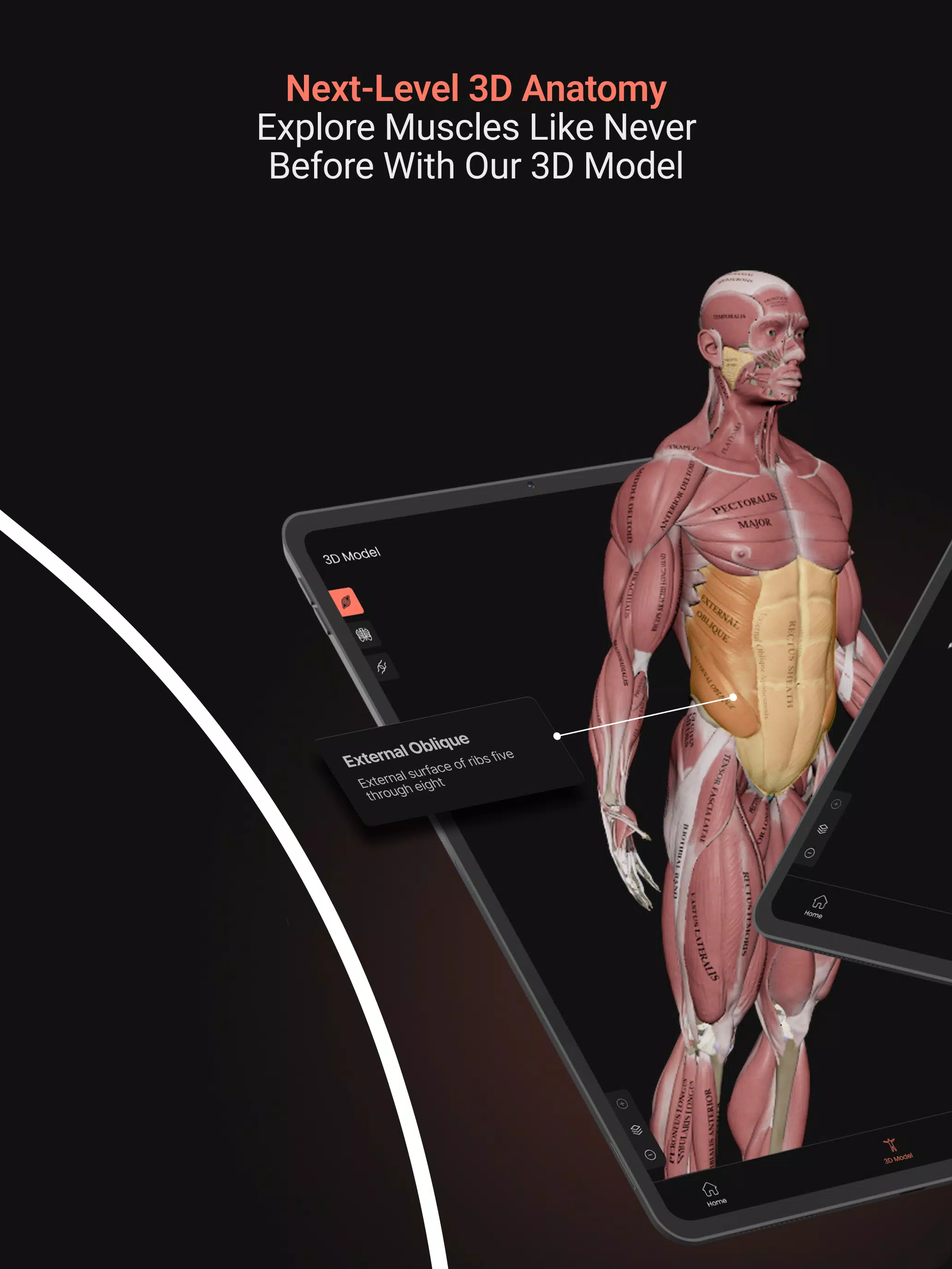 Anatomy Screenshot8