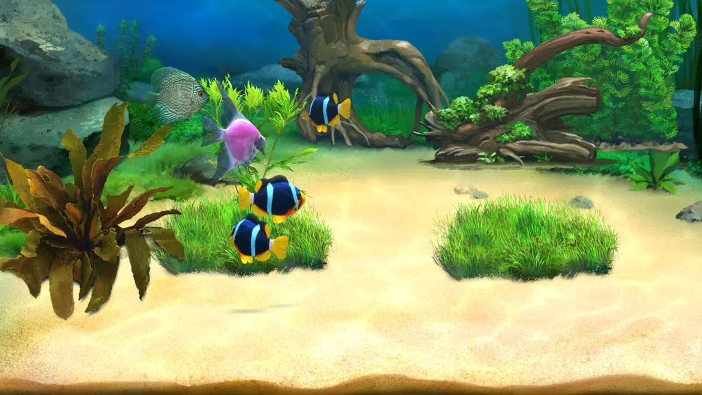 Aquantika Screenshot2