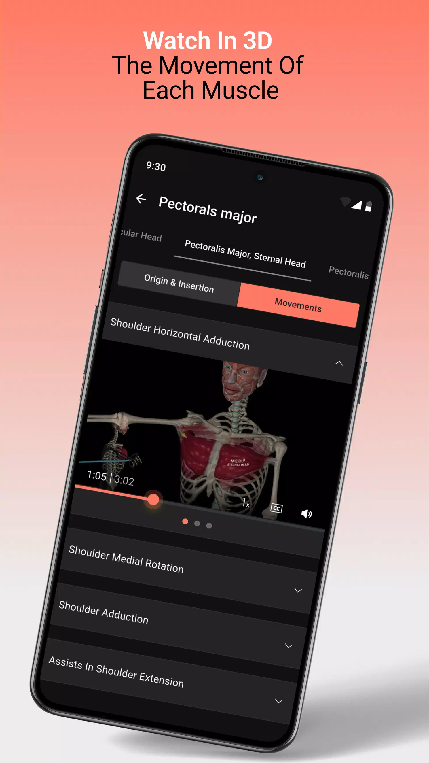 Anatomy Screenshot4