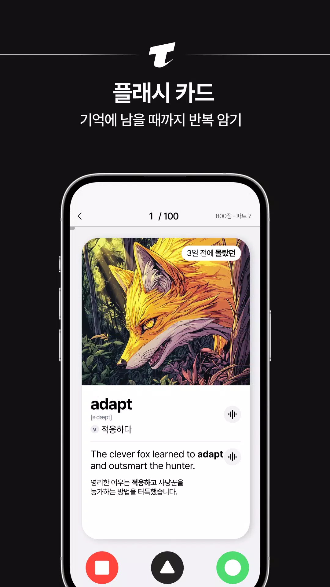 토단정 Screenshot4