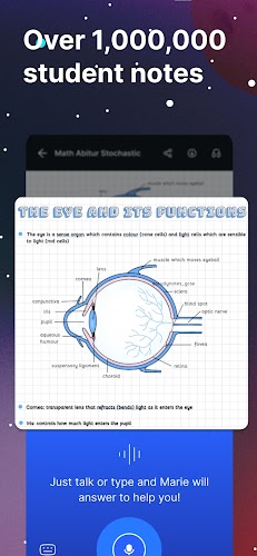 Knowunity Screenshot13