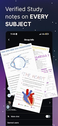 Knowunity Screenshot10
