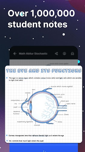 Knowunity Screenshot5