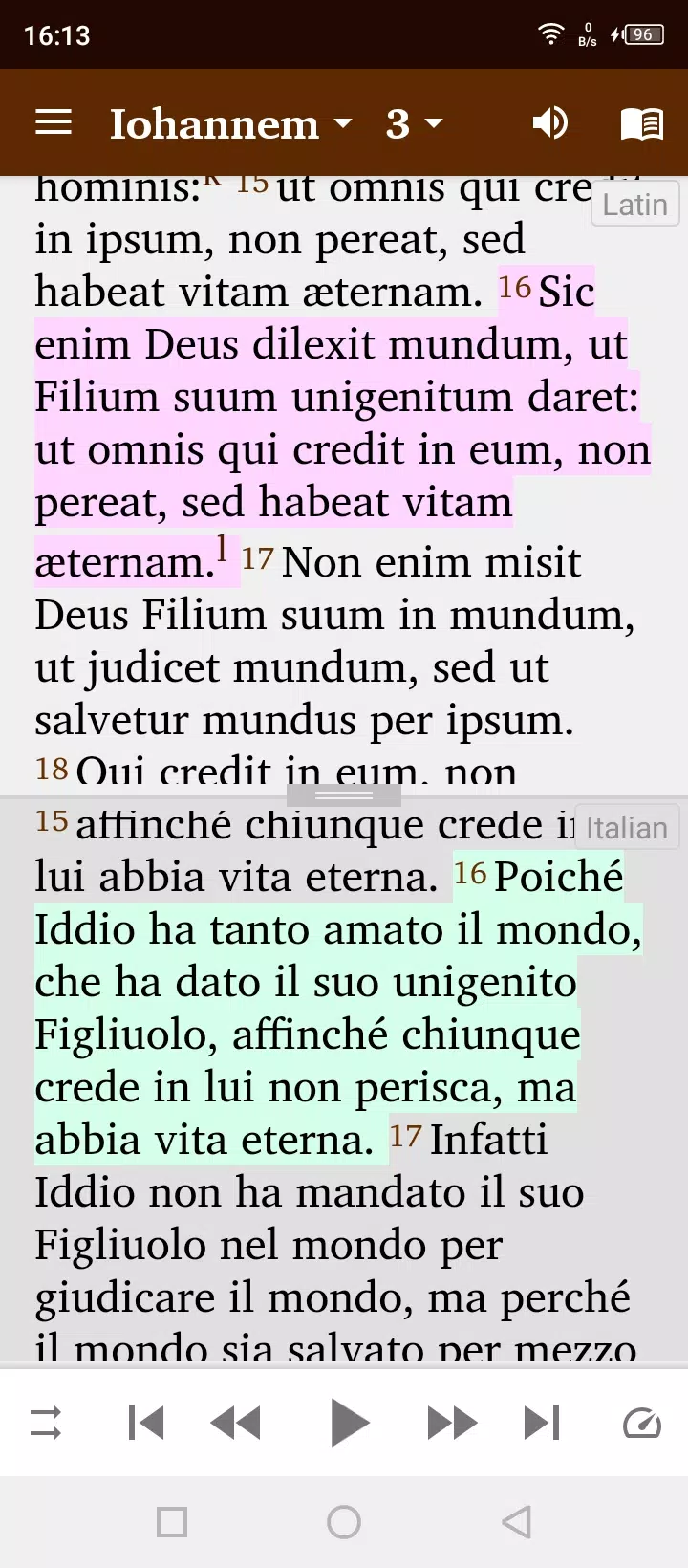 Latin English Screenshot7