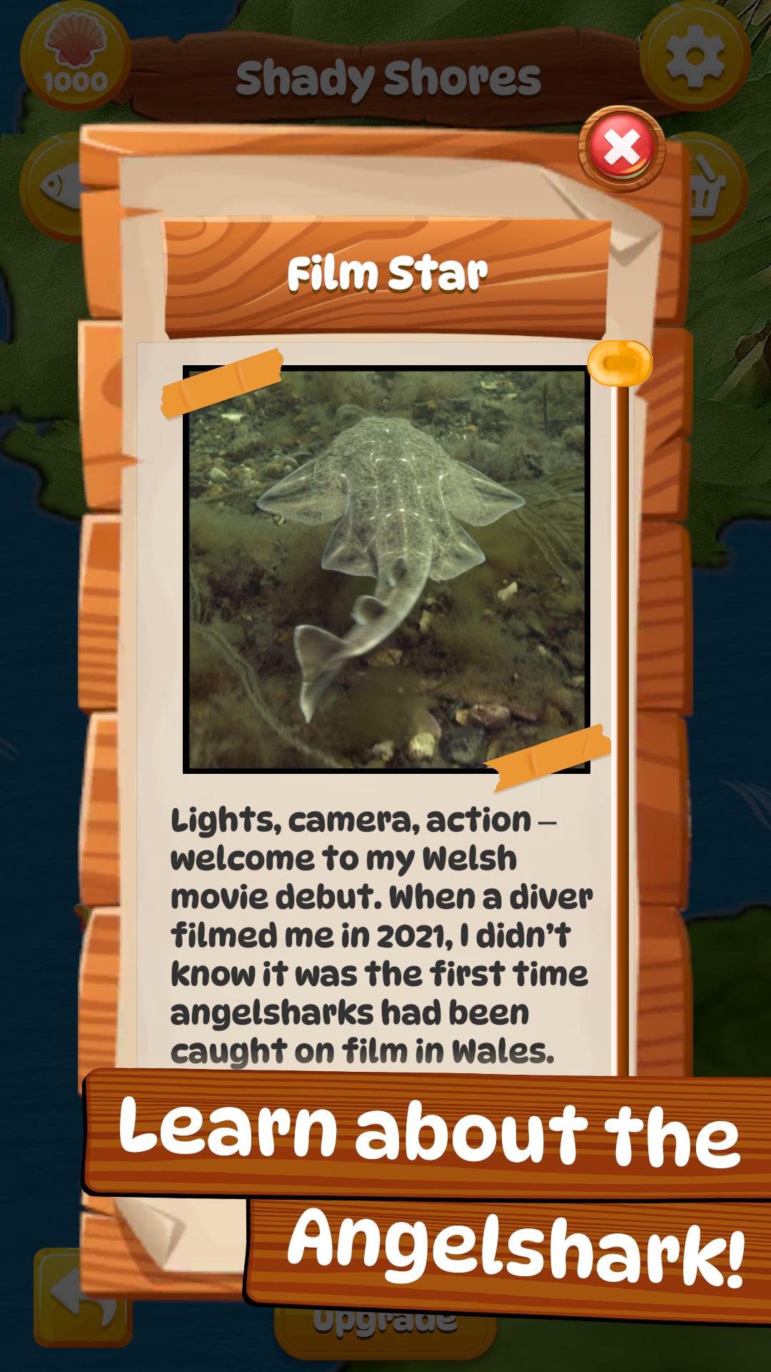 Angelshark Screenshot8