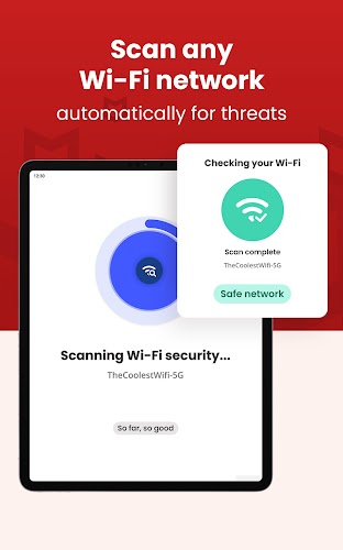 McAfee Security Screenshot21