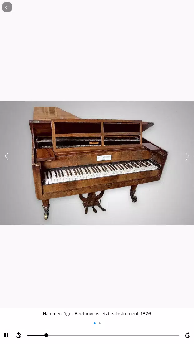 Beethoven Screenshot3