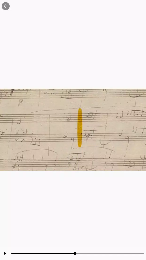 Beethoven Screenshot7